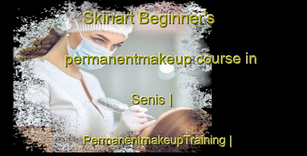 Skinart Beginner's permanentmakeup course in Senis | PermanentmakeupTraining | PermanentmakeupClasses | SkinartTraining-Italy
